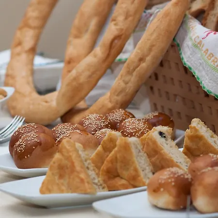 호텔 Grand Paradiso 카탄차로